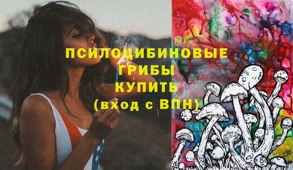 крисы Алзамай