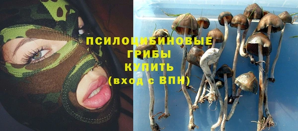 твердый Алексеевка