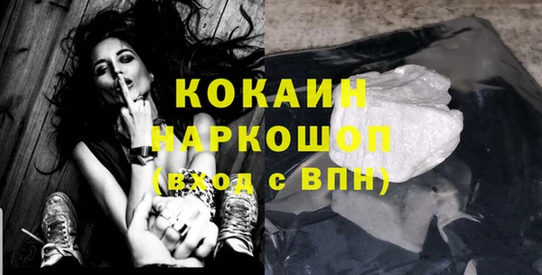индика Алексин